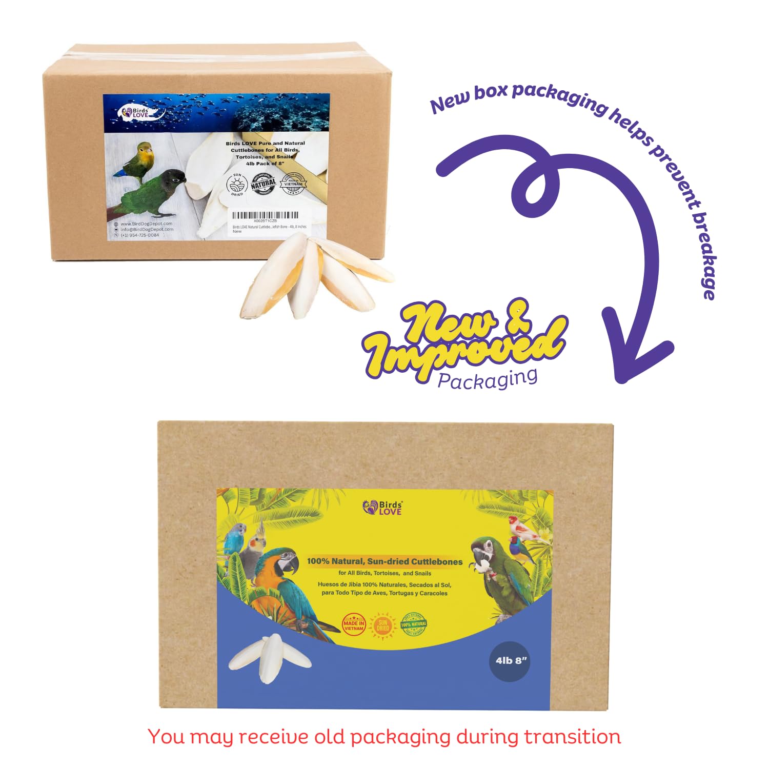 Birds LOVE Natural Cuttlebone - Premium Calcium for Cockatiel, Parrots, Tortoise, Snails, Crabs and Chinchillas - Pure Cuttlebon
